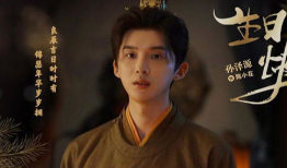 宫斗权谋电视剧,权谋与爱恨的宫廷较量