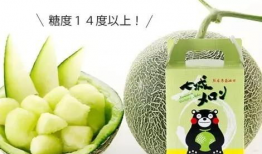 呱呱吃瓜爆料怎么做,呱呱吃瓜爆料背后的真相与内幕