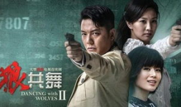 与狼共舞电视剧,一段草原民族与和平共处的传奇